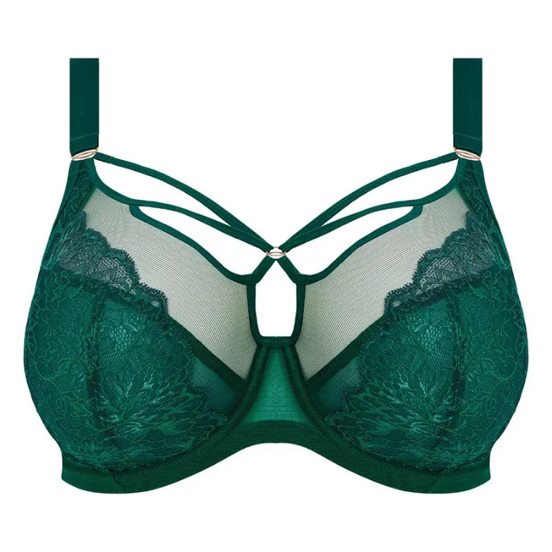 Elomi Brianna Plunge Bra Rainforest