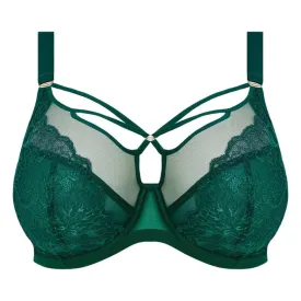 Elomi Brianna Plunge Bra Rainforest