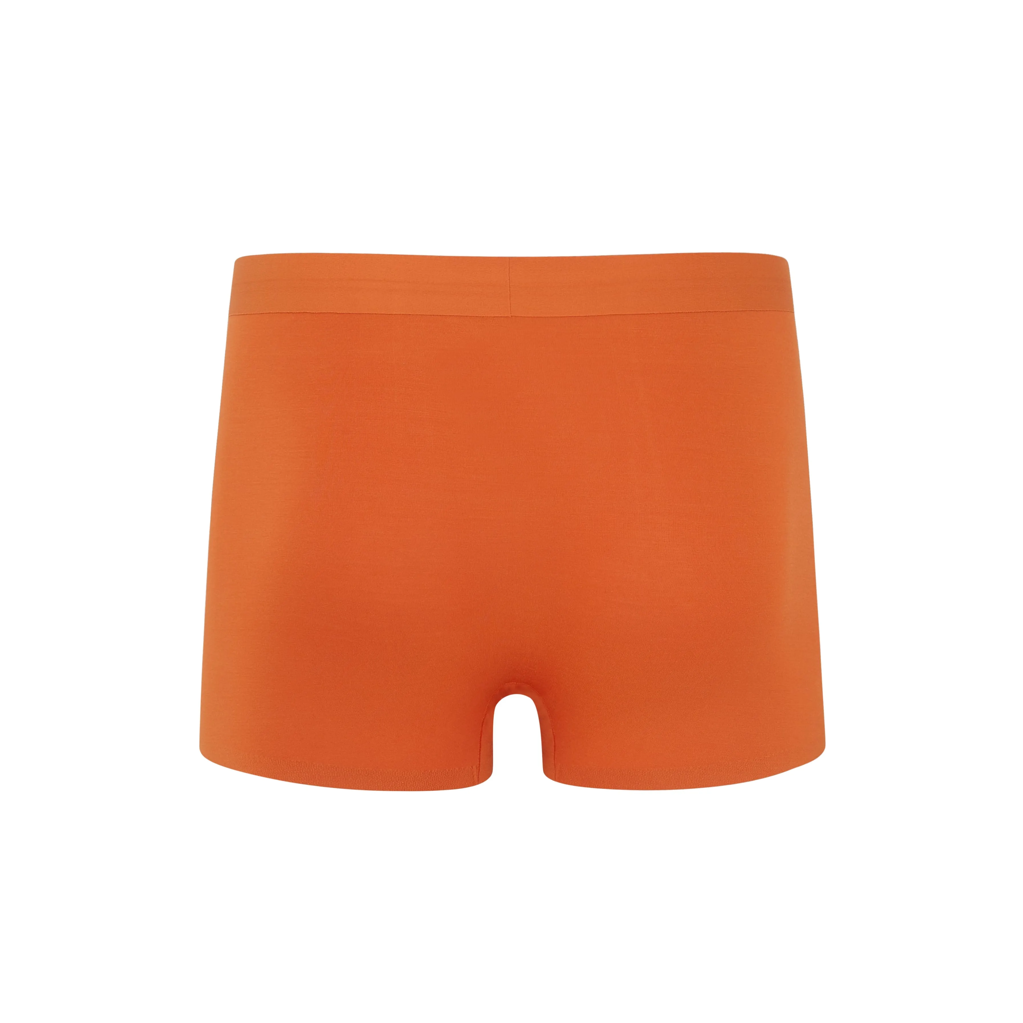 Men's Modal Brief 2.0