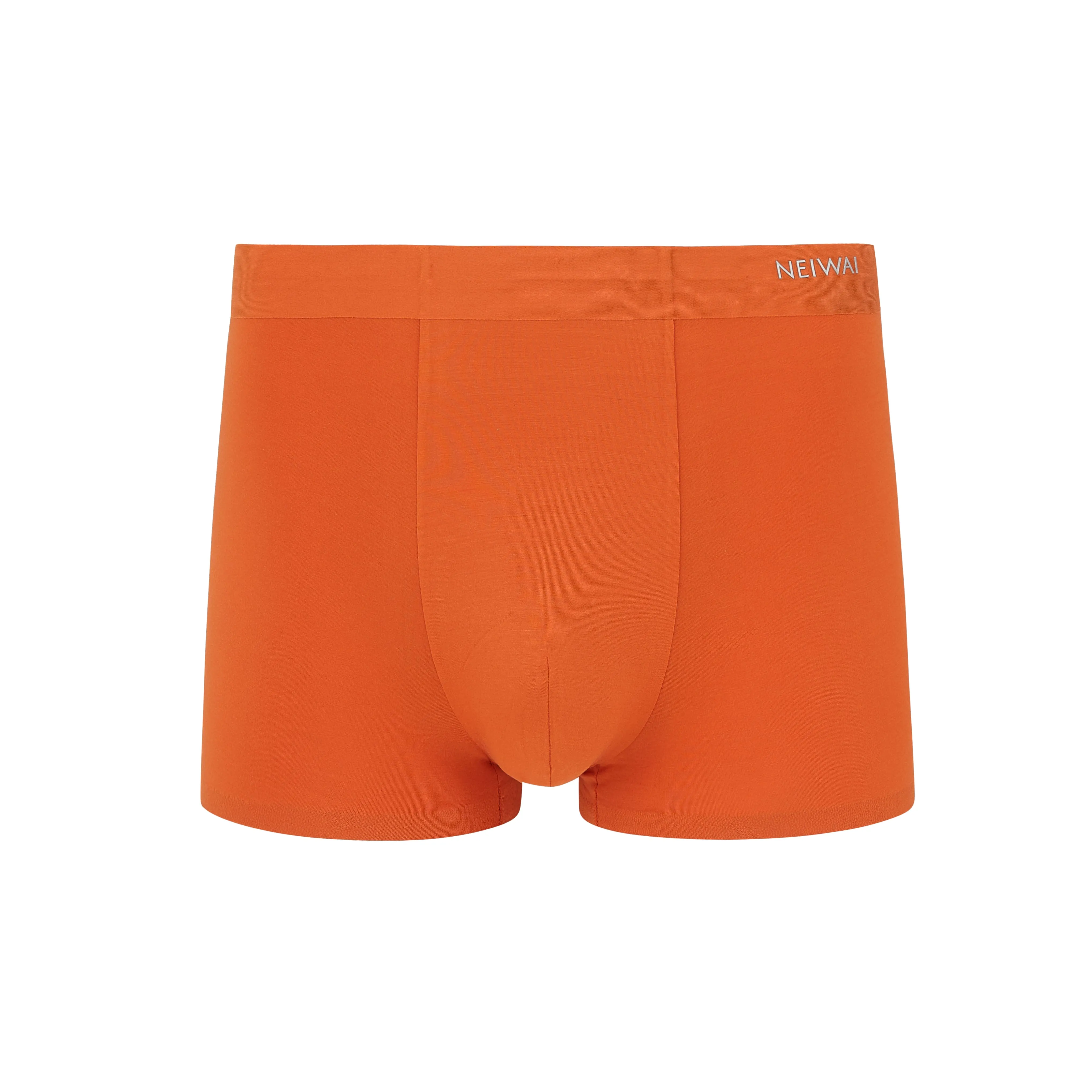 Men's Modal Brief 2.0