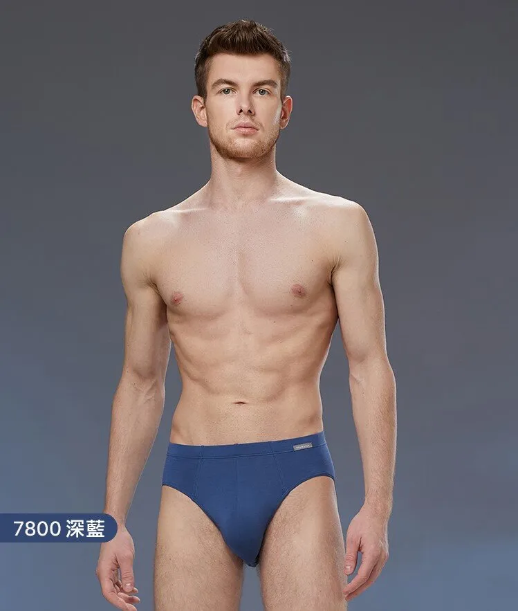 Men's Modal Mulberry Silk Anti-Bacterial Briefs