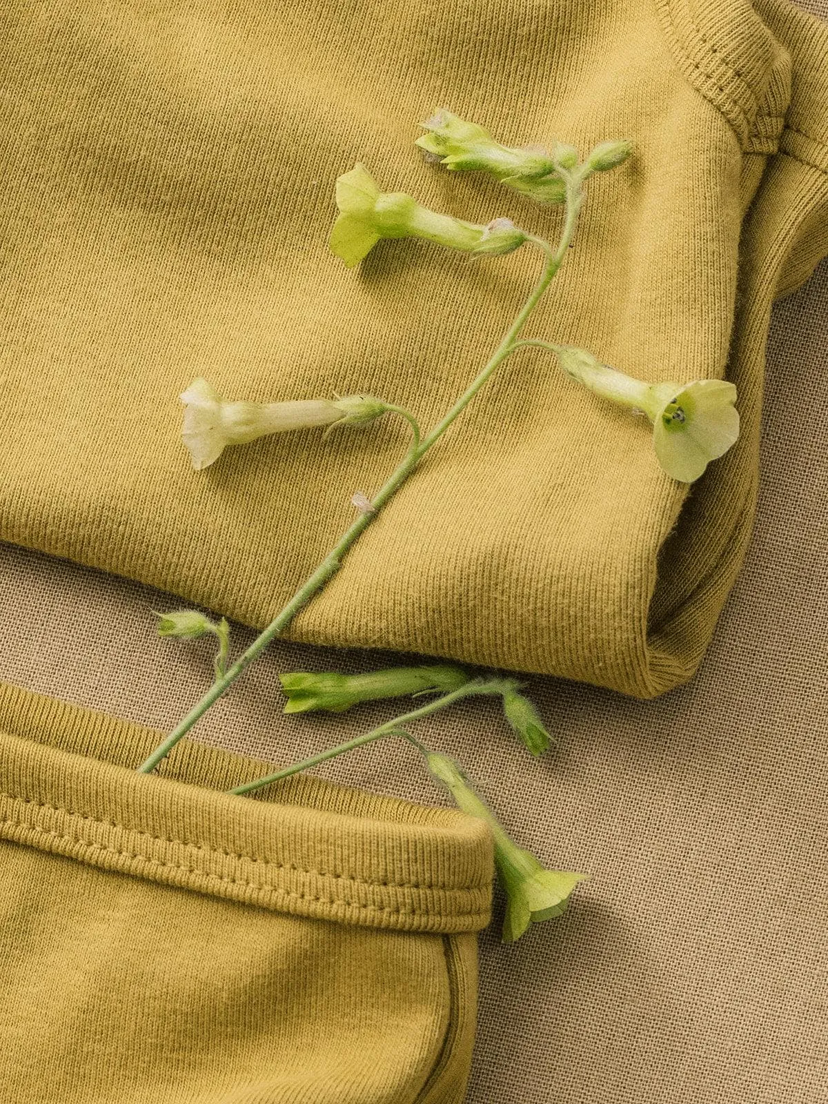 organic cotton camisole - chartreuse