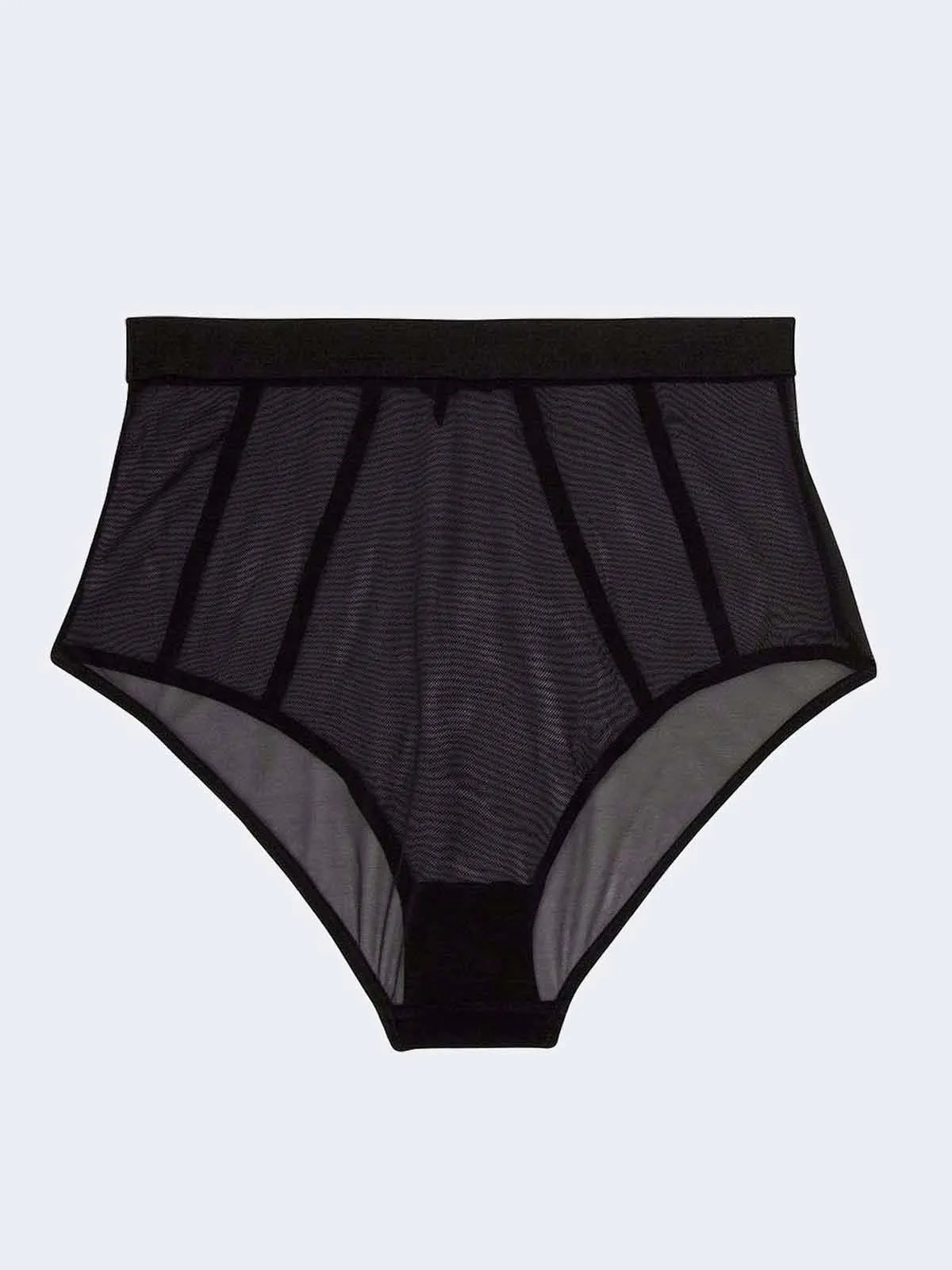 Regalia Colette Mesh Paneled High Waist Panties