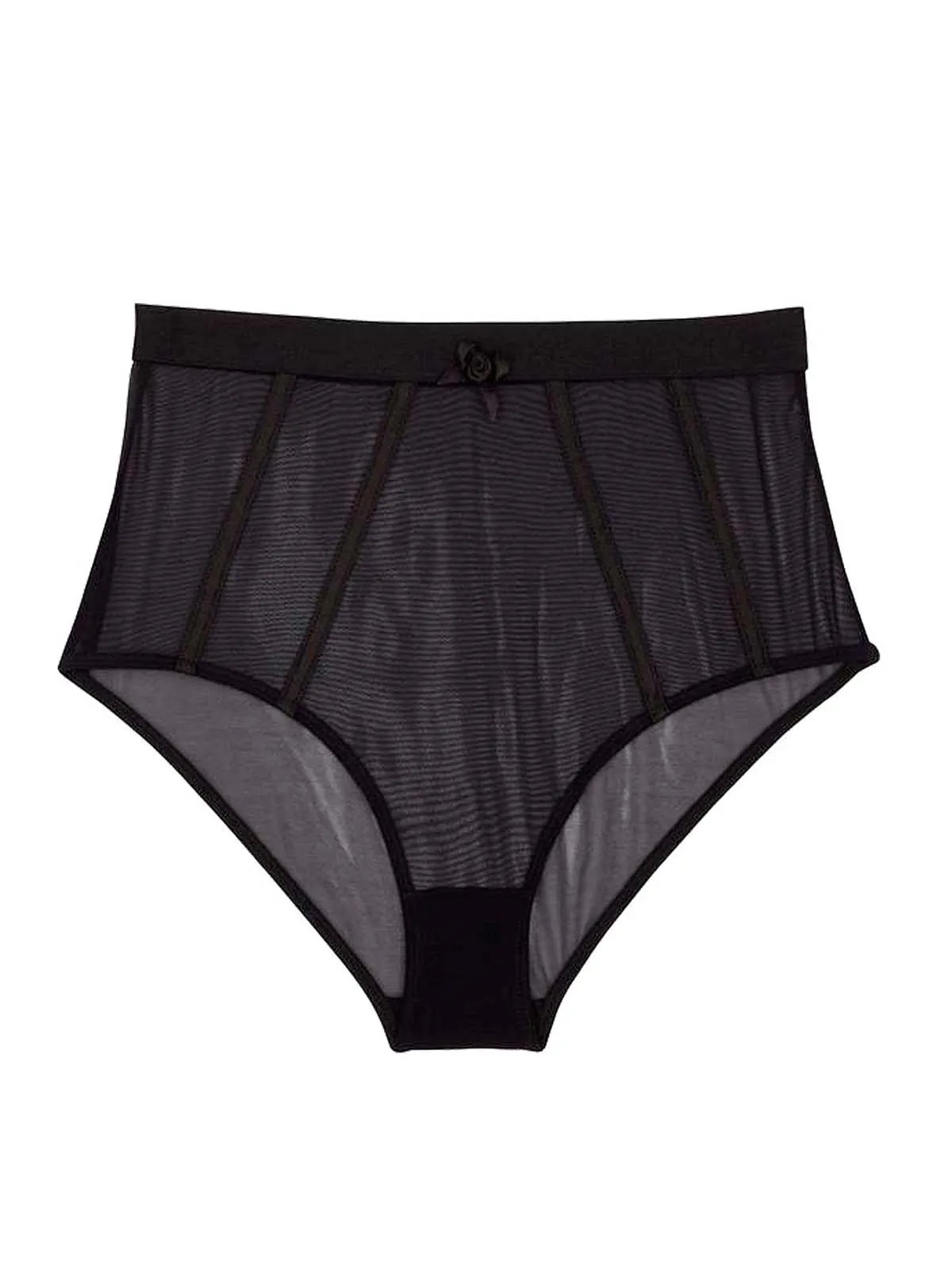 Regalia Colette Mesh Paneled High Waist Panties