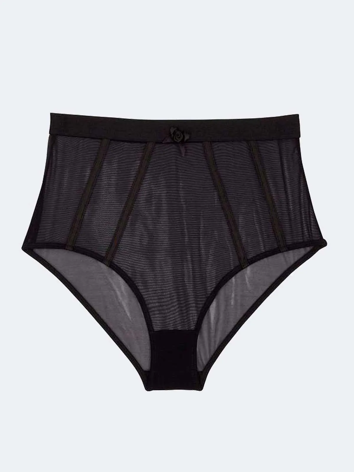 Regalia Colette Mesh Paneled High Waist Panties